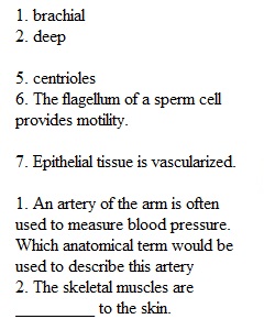 Lecture Exam 1